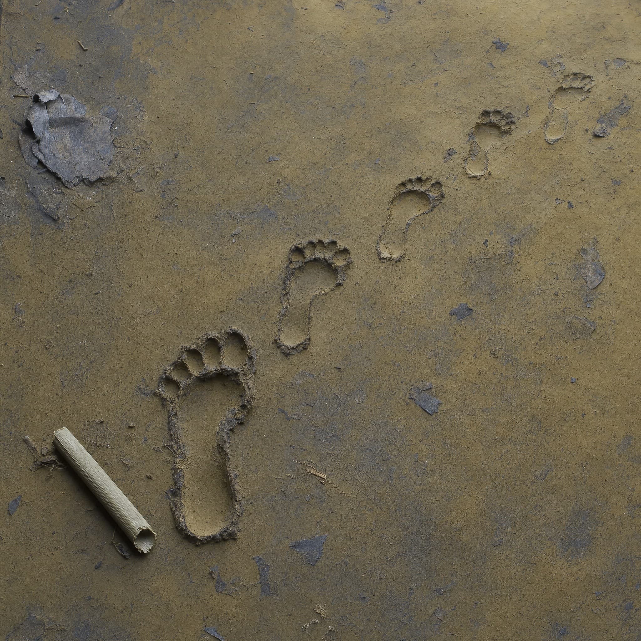 La aparición de los primeros seres humanos: lo que quedó del relato